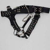 Keep It Kinky Male Chastity Device with Gates of Hell